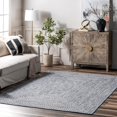 thumbnail image 1 of nuLOOM Lefebvre Braided Indoor/Outdoor Runner Rug, 2' 6" x 12', Light Blue, 1 of 8