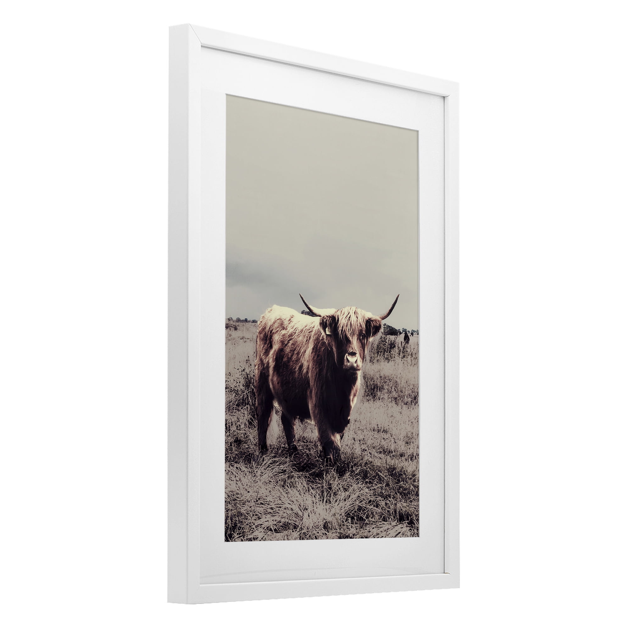 Stupell Industries Horned Cattle in Pasture White Framed Print Under Glass, design by SD Graphics Studio