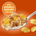 thumbnail image 4 of Post Honey Bunches Of Oats Crunchy Honey Roasted Cereal 18 Ounce (Pack Of 1) Box, 4 of 4