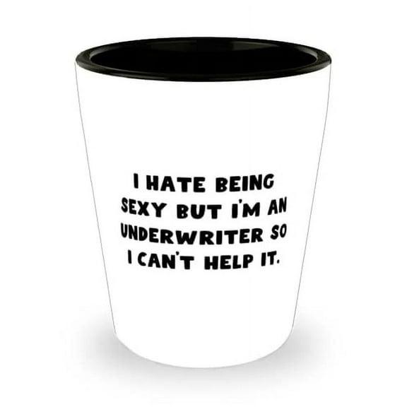 Unique Idea Underwriter Gifts, I Hate Being Sexy but I'm an Underwriter So I Can't Help, Inappropriate Shot Glass For Coworkers From Boss