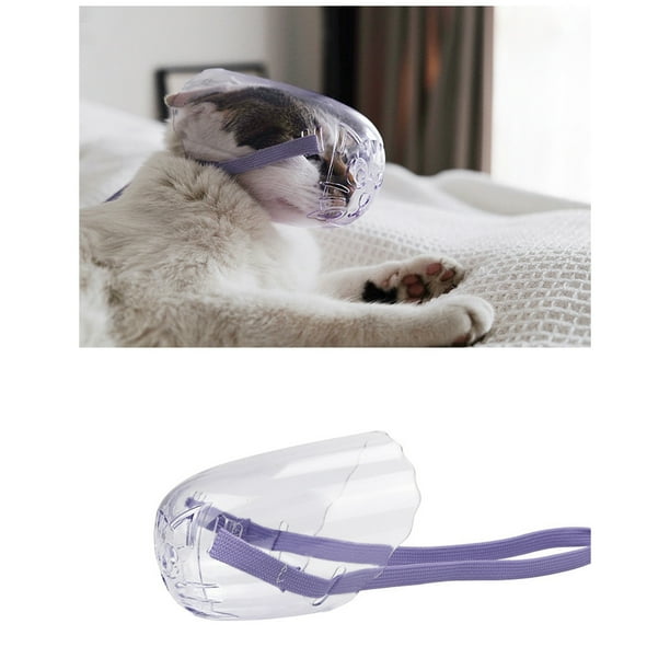 Cat muzzle clearance plastic