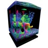 GloFish Betta Glass Aquarium Kit 1.5 Gallons, Easy Setup and Maintenance, Perfect Starter Tank