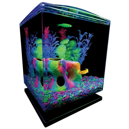 Glofish Aquarium Kit 1 5 Gallons Easy Setup And Maintenance