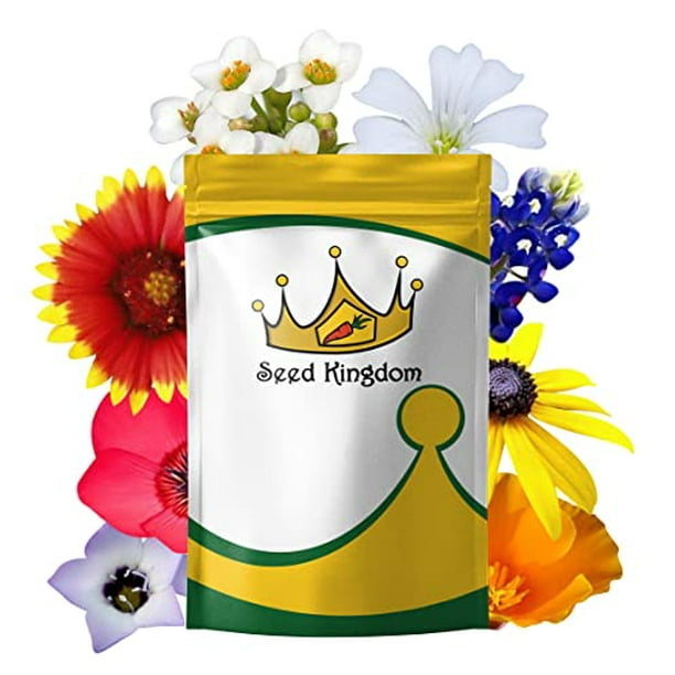 Wildflower Mix Annual 21 Varieties Non GMO Bulk Flower Seeds by Seed