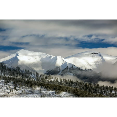Snow covered mountain with frosted evergreen trees on hillside with clouds in the valley and blue sky Radium Hot Springs British Columbia Canada Poster Print by Michael Interisano  Design Pics