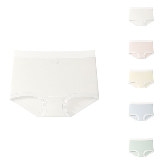 Ashirexll Ladies Underwear Panties, Plus Size Underwear for Women, Womens Mid Waist Comfortable Briefs Panties