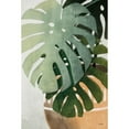 thumbnail image 3 of House Fenway 17x24 Black Modern Framed Museum Art Print Titled - Monstera Leaves, 3 of 5