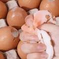 thumbnail image 7 of 2026 Edition Realistic Double Yolk Egg Squeeze, Fun Simulation Food Stress Relief - Portable Hand Fidget for Commuters, Hand-Pinching Sensory Toys, Soft Squeeze Decompression Dough for Adults, 7 of 7