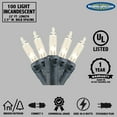 thumbnail image 5 of Novelty Lights Clear 100 Light Incandescent Mini Christmas String Lights, Black Wire, 22 Feet, 5 of 5