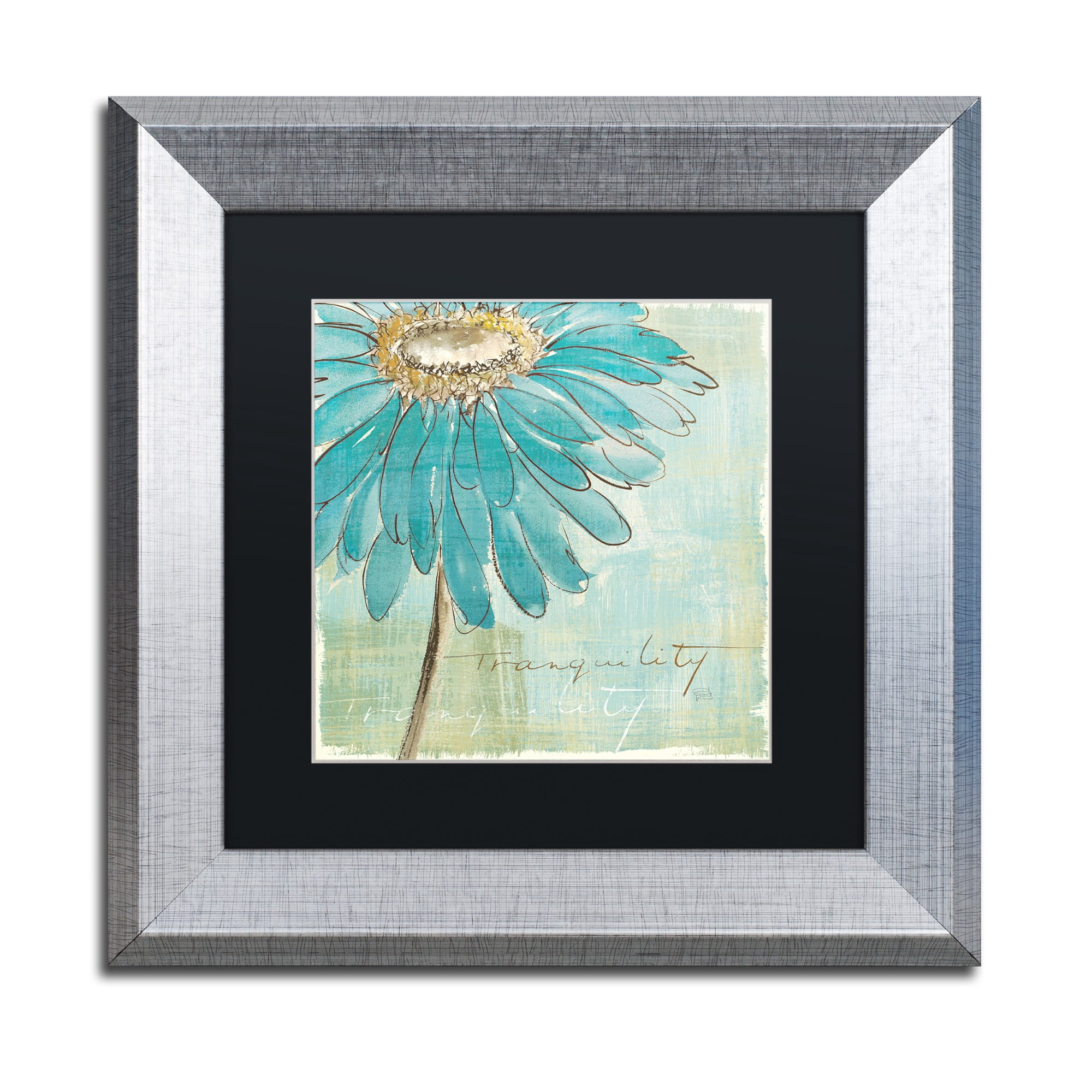 Trademark Fine Art "Spa Daisies III" Canvas Art by Chris Paschke Black Matte, Silver Frame