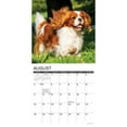 thumbnail image 3 of Just Cavalier King Charles Spaniels 2024 12 X 12 Wall Calendar (Other), 3 of 4