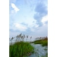 thumbnail image 2 of Alan Hausenflock 14x18 Gallery Wrapped Canvas Wall Art Titled - Early Morning in the Dunes V, 2 of 4
