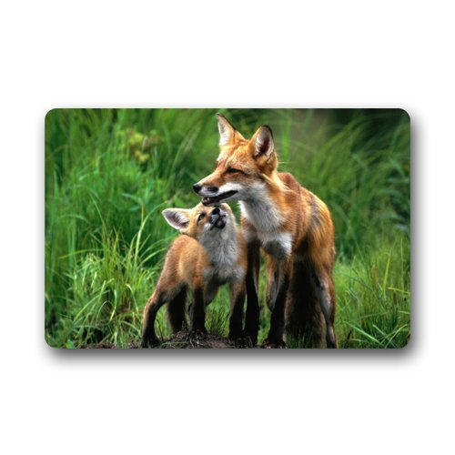 RYLABLUE Tapis de Sol Mignon Bébé Renards Tapis de Sol Extérieur / Intérieur Taille 23.6x15.7 Pouces