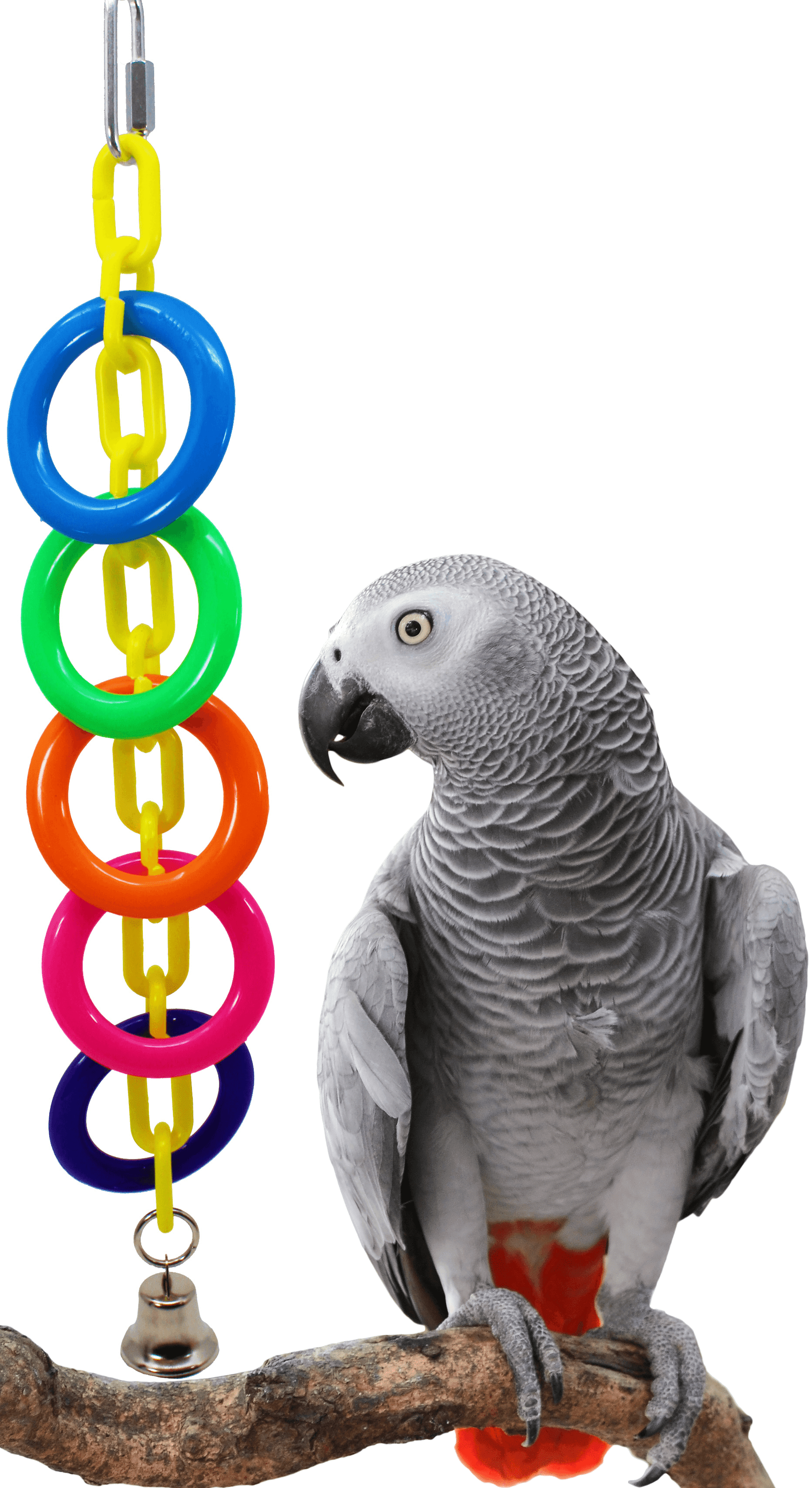 5Pcs Durable Plastic Long Chain C-Links Parrot Bird Bite Toy Clip Pet Supplies 