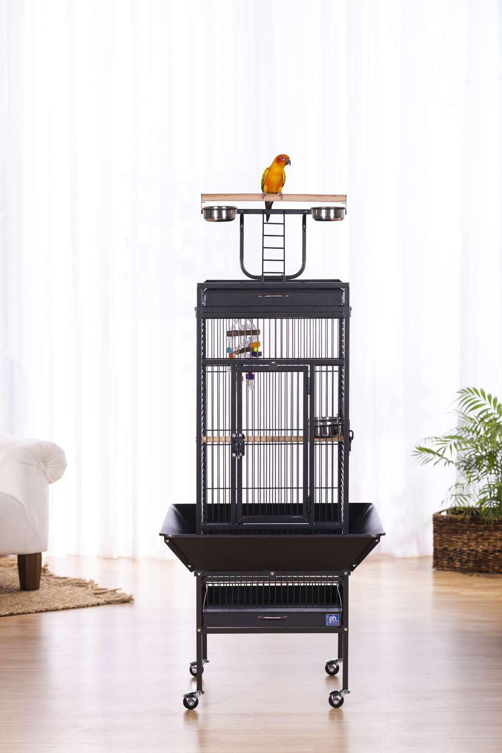Prevue Select Wrought Iron Bird Cage, Black