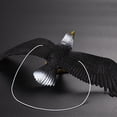 thumbnail image 5 of vlrwzc Simulated Eagle Model Realistic Eagle Figures Wildlife Eagle Statue Bird Figurines Animal Figure Ornament for Home Decor Party Supplies, 5 of 7