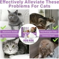 thumbnail image 3 of Cat Pheromones Calming Diffuser, Cat Calming Diffuser Starter Kit with Diffuser Head and 2pcs 48ml Vial, Efficient Relieve Anxiety Stress, 60 Days Use, 3 of 8