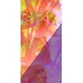 thumbnail image 2 of Popcorn 9x14 Black Ornate Wood Framed with Double Matting Museum Art Print Titled - Wayfinder A, 2 of 4