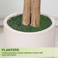 thumbnail image 4 of ROMSWI 5FT Artificial Ficus Tree with White Planter Realistic Ficus Plants with Natural Wood Trunk for Living Room Home Office Porch, 4 of 11