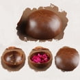 thumbnail image 1 of Bol Cuillère en Coquille de Noix de Coco Artisanat Salade de Fruits Nouilles Riz Récipient Alimentaire Décoration, 1 of 5