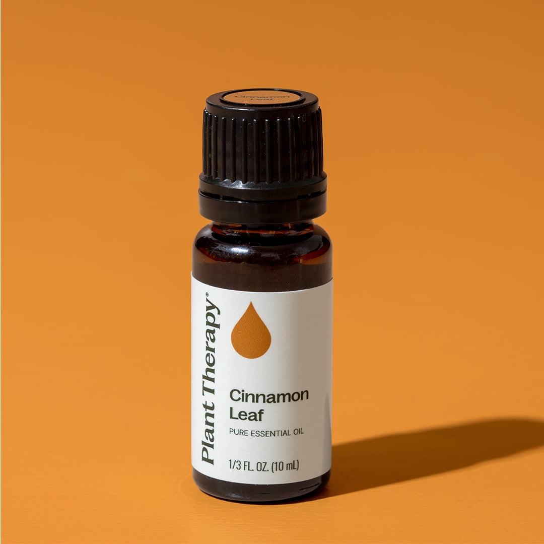 Plant Therapy Cinnamon Leaf Essential Oil 10 mL (1/3 oz) 100% Pure, Undiluted, Therapeutic Grade