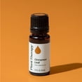 thumbnail image 6 of Plant Therapy Cinnamon Leaf Essential Oil 10 mL (1/3 oz) 100% Pure, Undiluted, Therapeutic Grade, 6 of 8