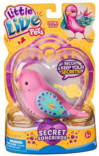 Little live pets hot sale songbird