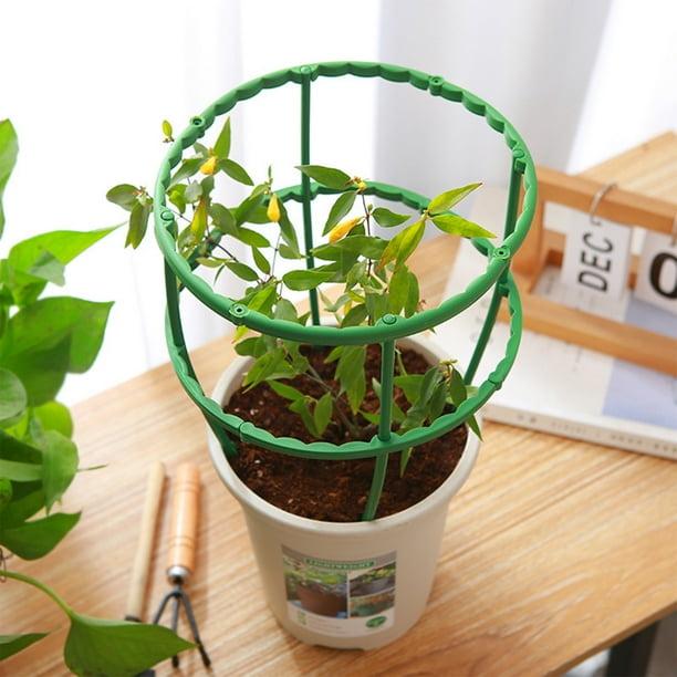 Soporte para cactus navideños, soporte para plantas trepadoras, soporte para flores de jardín, soporte para herramientas de bonsái de jardín semicircular