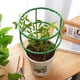 thumbnail image 4 of Poste de soporte semicircular para plantas | Soporte para trepar flores, hortalizas y enredaderas | Núcleo de acero resistente a la oxidación | Paquete de 3, 4 of 6