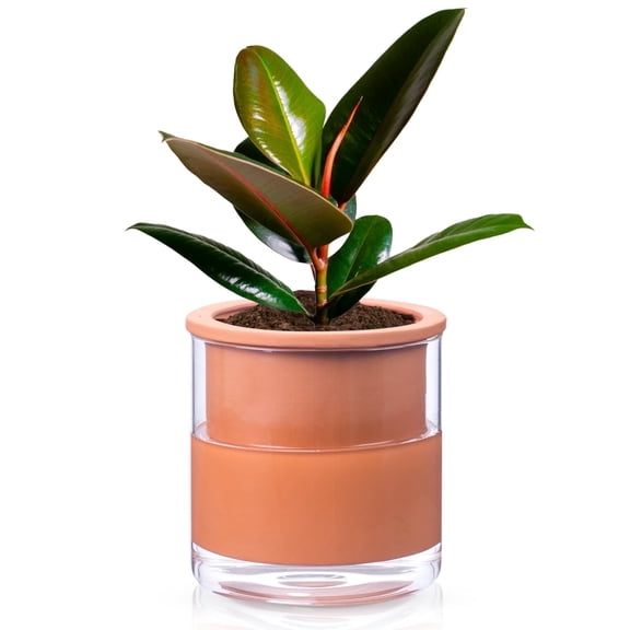 EFISPSS 6 inch Self-Watering Terracotta Pot with Glass Reservoir, Indoor/Outdoor Flower Planter for Succulents Herbs, Home Office Balcony Garden Decor