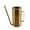 Gold, variant on BCZHQQ Watering Can Indoor Outdoor Stainless Steel Watering Cans for House Plants Long Spout Water Can for Succulent Bonsai Garden Flower,Summer Savings Clearance