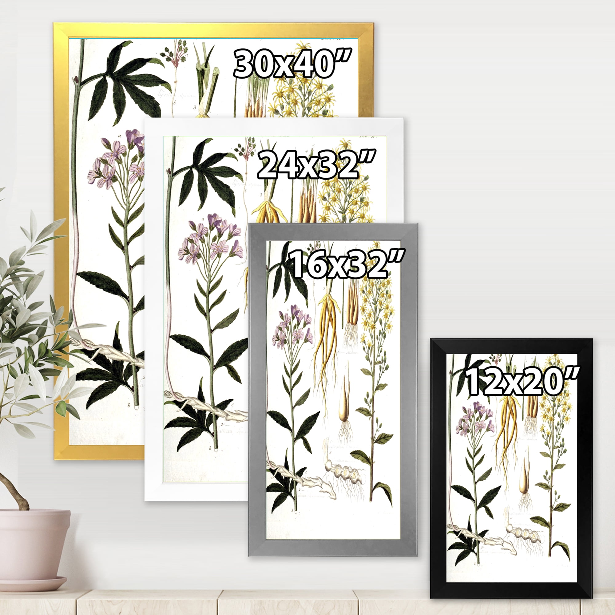 Designart 'Ancient Plant Life VIII' Farmhouse Framed Art Print