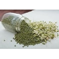 thumbnail image 6 of Organic Mung Beans, 8 Ounces – Non-GMO, Kosher, Raw, Sproutable, Vegan, Sirtfood, Bulk – by Food to Live, 6 of 8