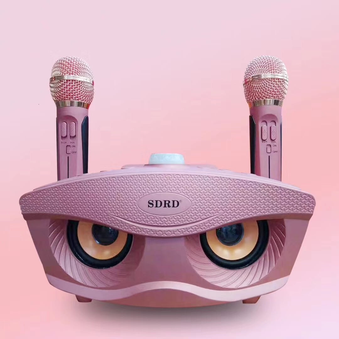 sd306-dual-wireless-microphone-bluetooth-speaker-mobile-wireless