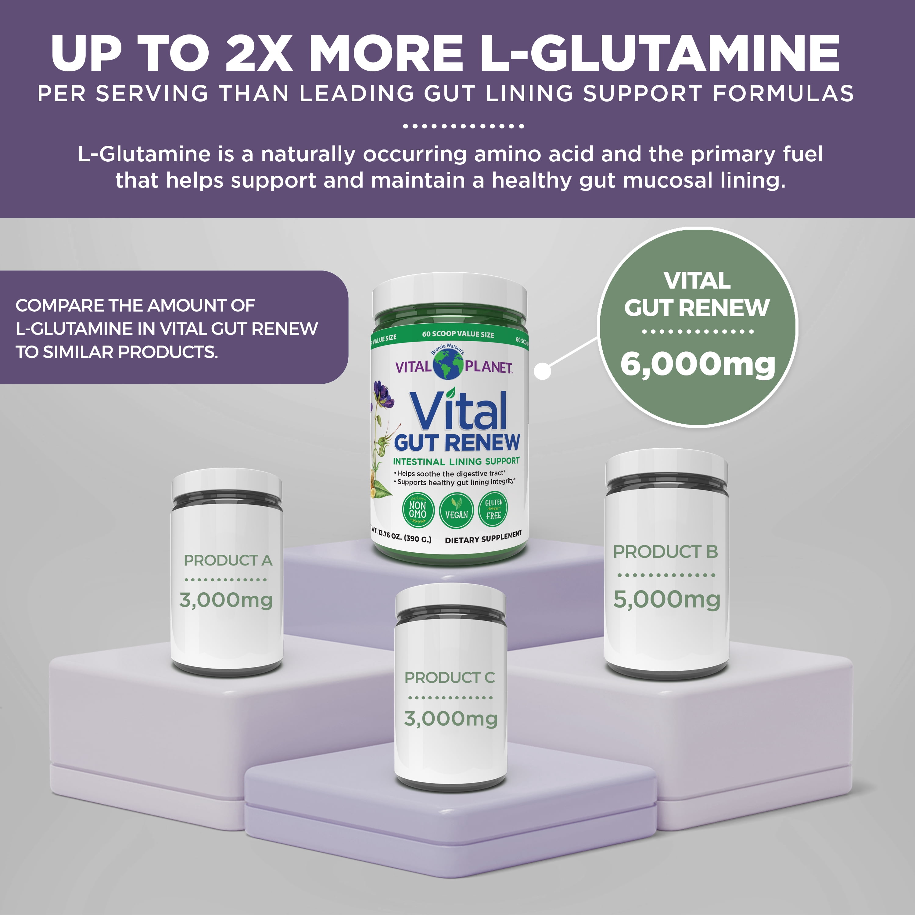 Vital Planet - Vital Gut Renew Powder Supplement for Leaky Gut Repair with L-Glutamine 6000mg 13.76 OZ