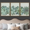 thumbnail image 3 of wall26 Framed Canvas Print Wall Art Set Desert Succulent Variety Closeup Floral Plants Photography Realism Southwest Group Colorful Cool for Living Room, Bedroom, Office - 24"x36"x3 Natural, 3 of 5