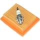 thumbnail image 2 of Kit de encendido con filtro de aire para Stihl Fs120 Fs200 Fs250 Fs300, 2 of 5