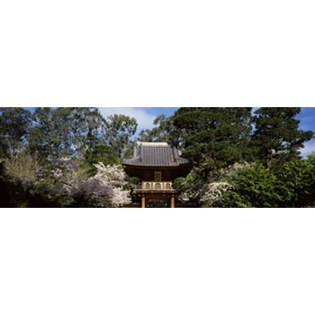 Tea Garden Golden Gate Park - Cherry Blossom trees in a garden Japanese Tea Garden Golden Gate Park San Francisco California USA Poster Print