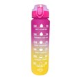 thumbnail image 2 of 1000 Ml Gradiente Esmerilada Con Botella Motivacional (rosa) Rojo, 2 of 5