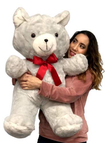 big beautiful teddy bear