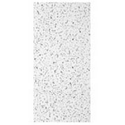Usg Interiors 2x4 Plateau Ceil Tile 8 Pack