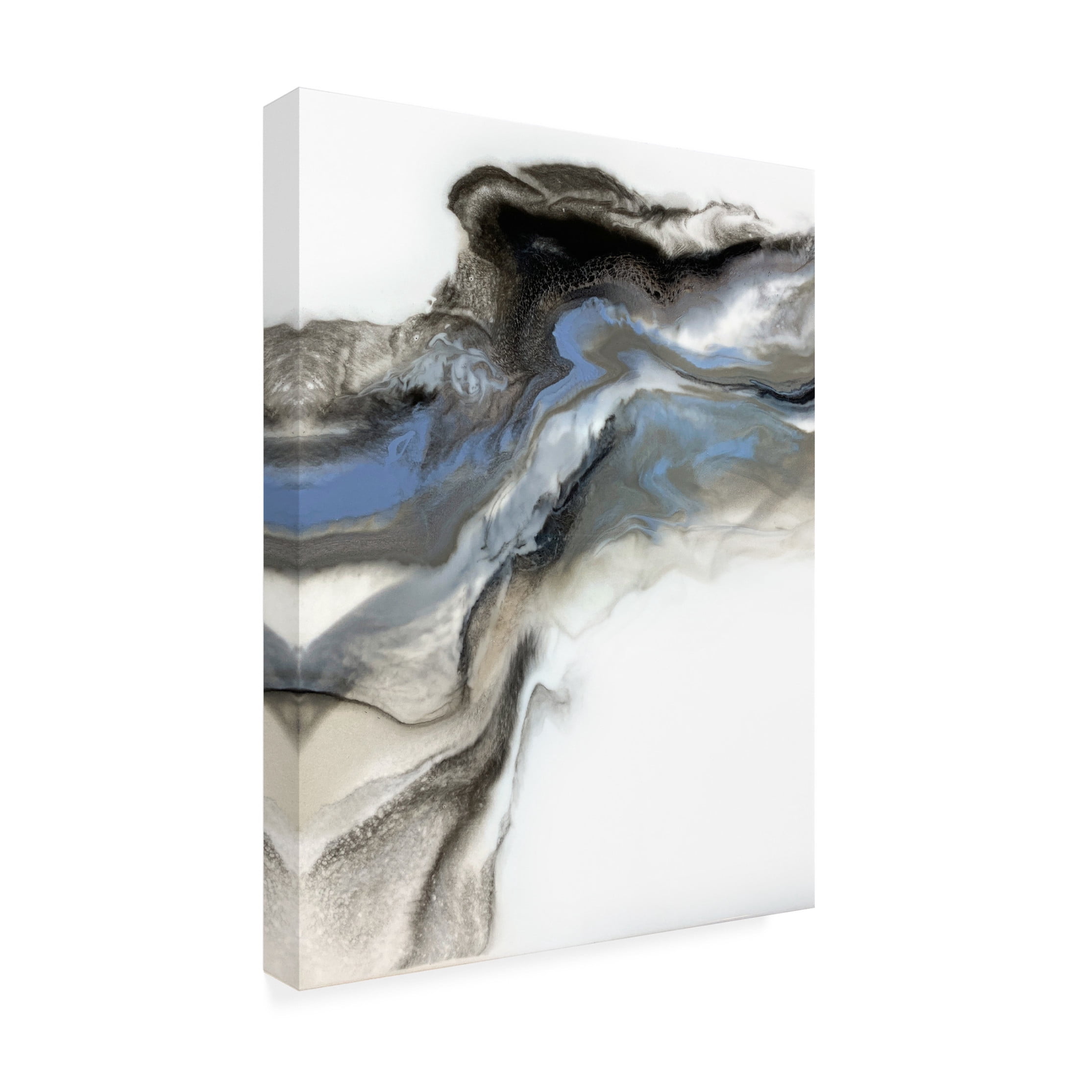 Trademark Fine Art Alyson Storms  Grey Smoke 3 Canvas Wall Art