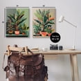 thumbnail image 4 of Stupell Industries Various House Plants Botanical & Floral Painting Gallery Wrapped Canvas Art Print Wall Art, 24 x 30, Set of 2, 4 of 8