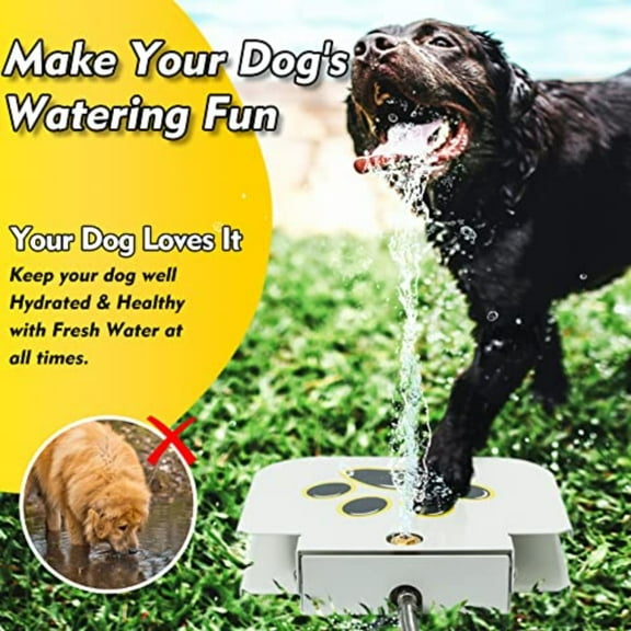 Paw Activated Water Fountain, Includes 304 Stainless Steel Dog Hose