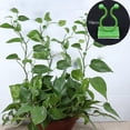 thumbnail image 1 of 10x Clips de fijación de pared para trepar plantas que soportan la fijación de alambre, gancho de soporte de vides multipropósito, Clip de pared para Verde M, 1 of 8