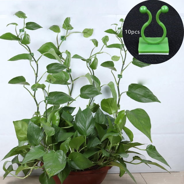10x Clips de fijación de pared para trepar plantas que soportan la fijación de alambre, gancho de soporte de vides multipropósito, Clip de pared para Verde M