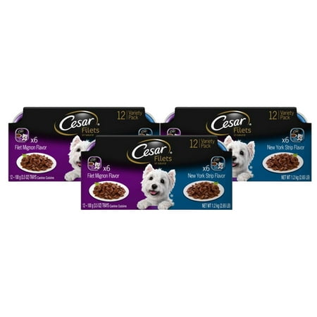 Home Gourmet Food - (3 Pack) CESAR GOURMET FILETS Wet Dog Food Filet Mignon & New York Strip Flavors Variety Pack, (12) 3.5 oz. Trays