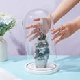 thumbnail image 3 of Campana de cristal decorativa con base de madera blanca., 3 of 6