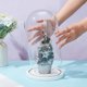 thumbnail image 3 of Campana de cristal decorativa con base de madera blanca., 3 of 6