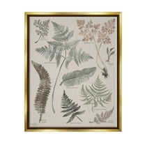 Stupell Industries Various Botanical Leaves Latin Study Informative Page Graphic Art Metallic Gold Floating Framed Canvas Print Wall Art, Design by Elizabeth Medley